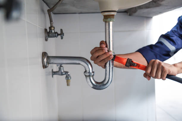 Best Local Plumber Services  in Ball Pond, CT